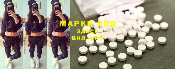 спиды Каменногорск