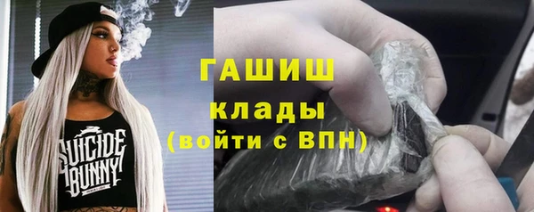 спиды Каменногорск