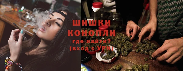 спиды Каменногорск
